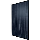 SI - Black M265 F